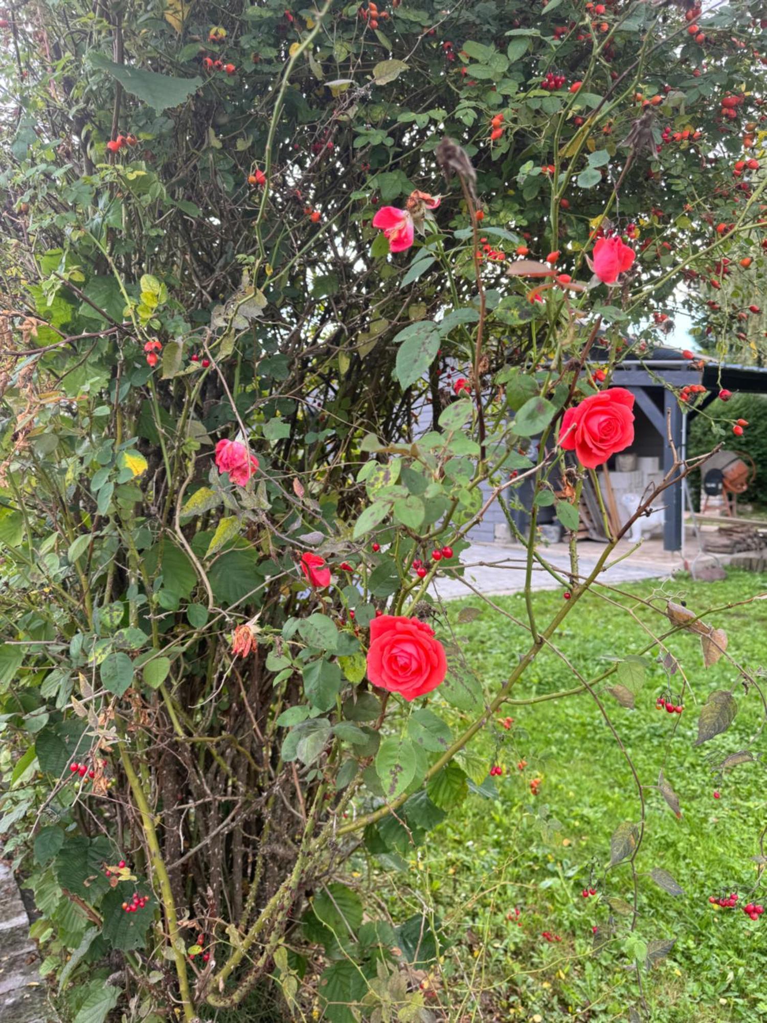 Le Chant De La Riviere Holiday home Abbeville